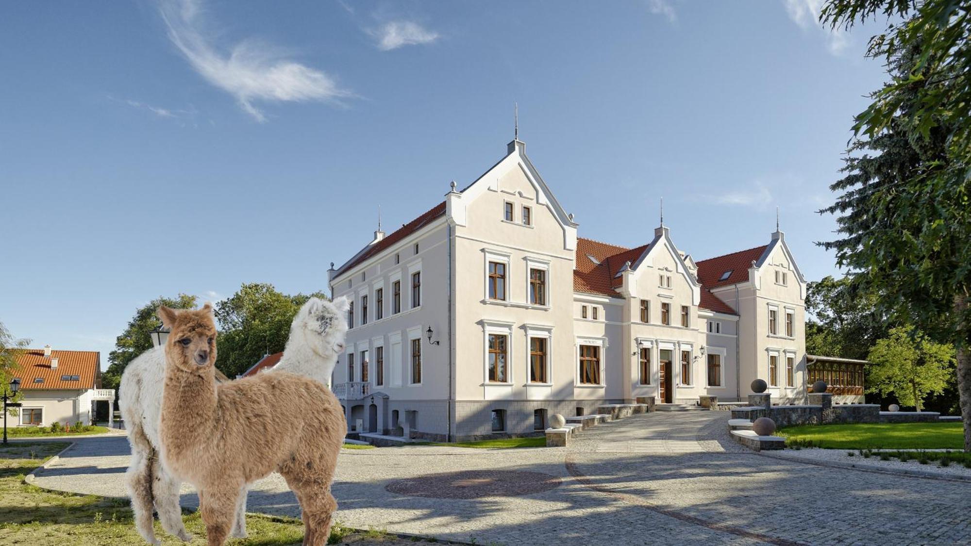 Palac Mortegi Hotel & Spa- Restauracja Szlachecka, Spa, Basen, Sauny, Jazda Konna, Mini Zoo- Luksus, Relaks I Przyroda W Jednym! Lubawa Экстерьер фото